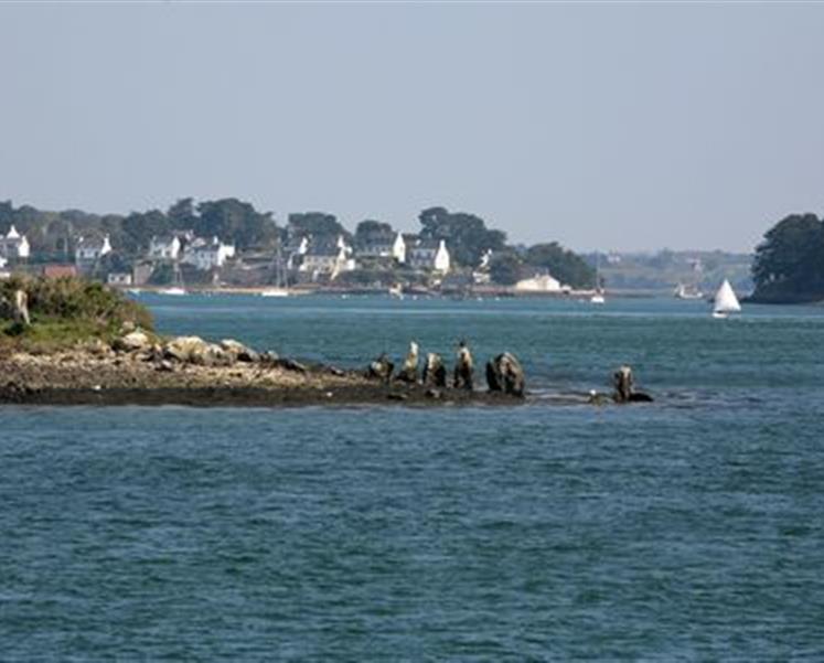 Golf du morbihan visite camping des iles  - RESIDENCE LES ILES PENESTIN