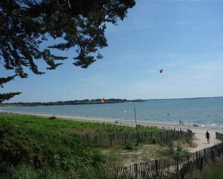 Kite surf à côté du camping des iles - RESIDENCE LES ILES PENESTIN