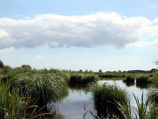 Marais de grande briere proche penestin  - RESIDENCE LES ILES PENESTIN