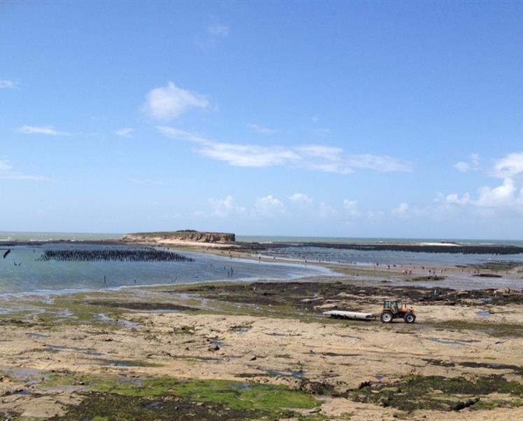 peche a pied palourdes camping penestin bretagne - RESIDENCE LES ILES PENESTIN