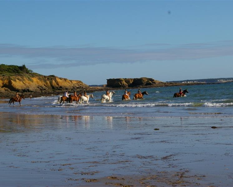 Equitation à Penestin au camping des iles - RESIDENCE LES ILES PENESTIN