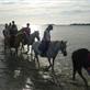 Poney et cheval equitation au camping des iles a penestin
