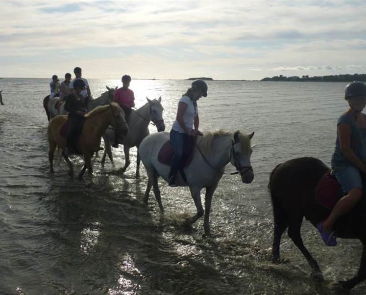 Poney et cheval equitation au camping des iles a penestin - RESIDENCE LES ILES PENESTIN