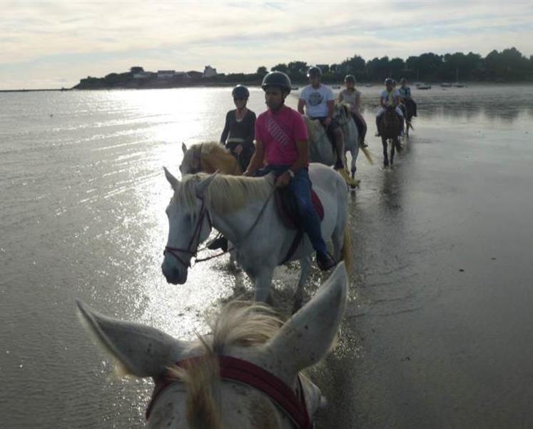 Poney et cheval equitation au camping des iles a penestin - RESIDENCE LES ILES PENESTIN