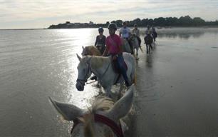 Poney et cheval equitation au camping des iles a penestin - RESIDENCE LES ILES PENESTIN