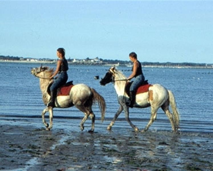 promenade cheval camping des iles  - RESIDENCE LES ILES PENESTIN