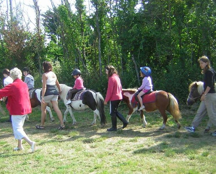 poney club des iles  - RESIDENCE LES ILES PENESTIN