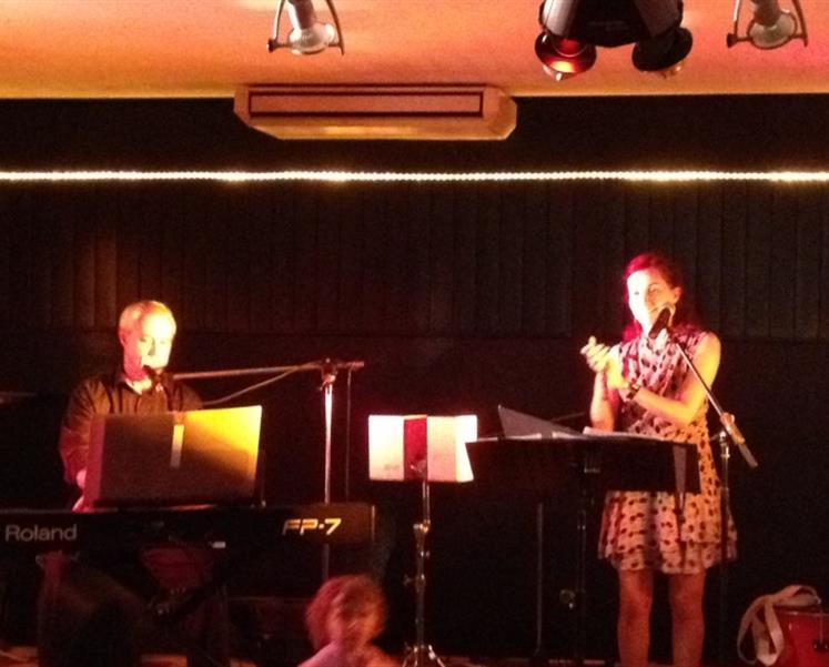 concert camping penestin piano bar morbihan  - RESIDENCE LES ILES PENESTIN