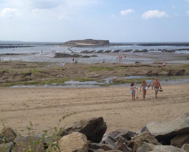 peche a pied la pointe du bile 2014  - RESIDENCE LES ILES PENESTIN