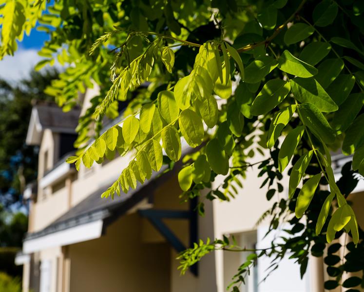 au printemps - RESIDENCE LES ILES PENESTIN