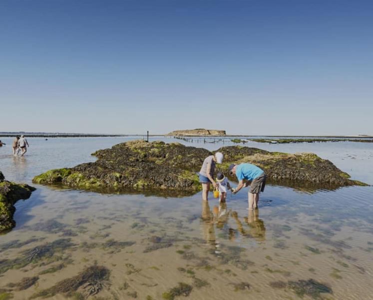 peche dans les rochers residence les iles peche a pied penestin - RESIDENCE LES ILES PENESTIN