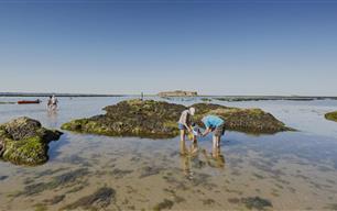 peche dans les rochers residence les iles peche a pied penestin - RESIDENCE LES ILES PENESTIN