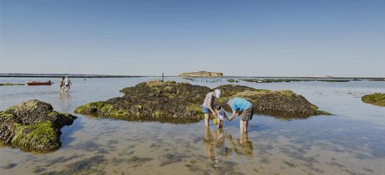 peche dans les rochers residence les iles peche a pied penestin - RESIDENCE LES ILES PENESTIN