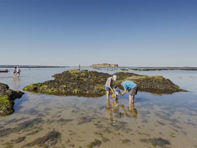 peche dans les rochers residence les iles peche a pied penestin - RESIDENCE LES ILES PENESTIN