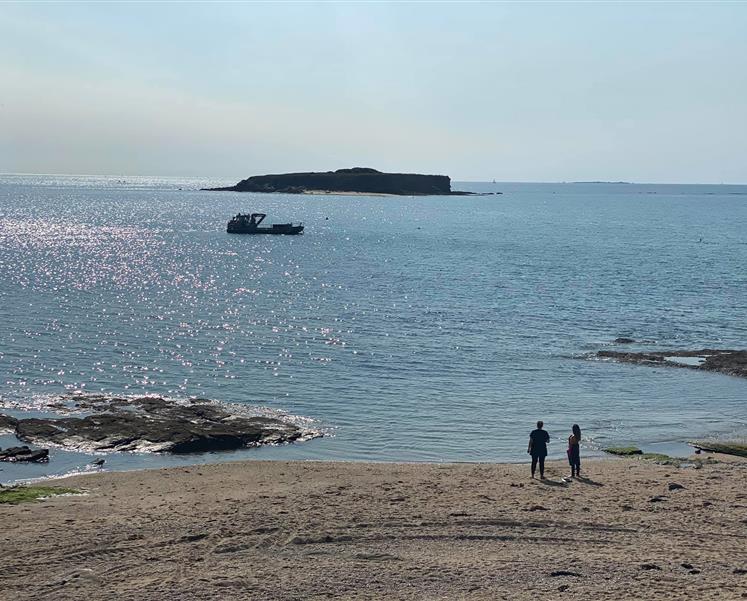 ile Bacchus la pointe du bile penestin  - RESIDENCE LES ILES PENESTIN