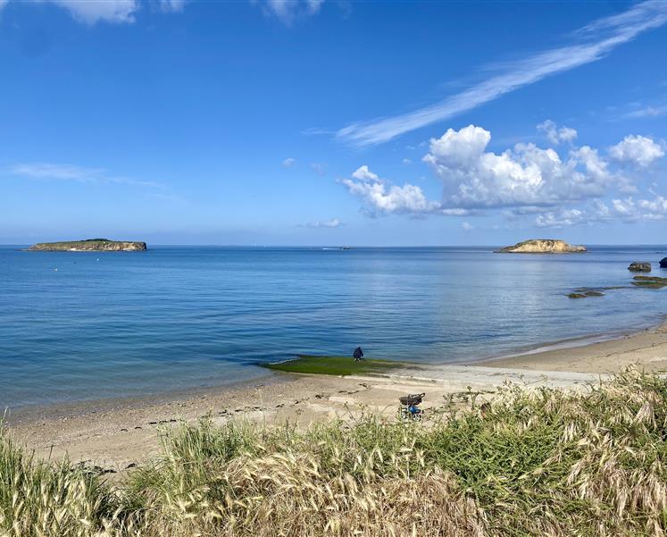 la plage a 50 mètres de la résidence - RESIDENCE LES ILES PENESTIN